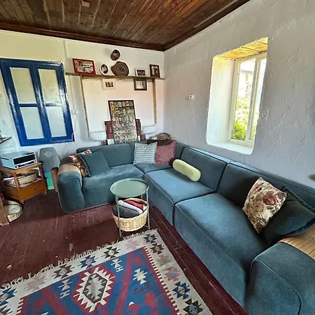 Σπίτι διακοπών Heritage Stone House In Germiyan Çeşme